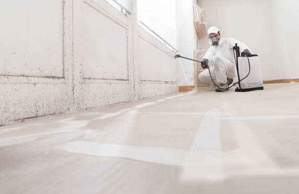 24/7 Emergency Mold Removal experts in Kilmarnock, VA